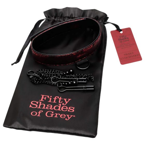 Fifty Shades of Grey Collar Set with Nipple Clamps (Black-Red)