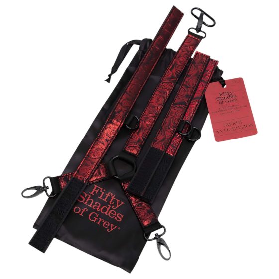 Fifty Shades of Grey - Neck Tie Set (Black-Red)""