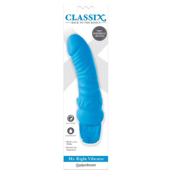 Classix Mr. Right - Beginner Silicone Vibrator (Blue)