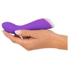   You2Toys Colorful - Rechargeable, Waterproof G-Spot Vibrator (Purple)