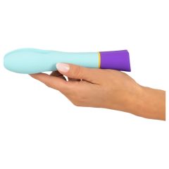   You2Toys Rechargeable Waterproof Dual Motor Vibrator (Colorful)