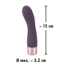   You2Toys Elegant Flexy - rechargeable, ridged G-spot vibrator (dark purple)