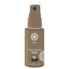   HOT Shiatsu Penis Power - stimulating intimate spray for men (30ml)