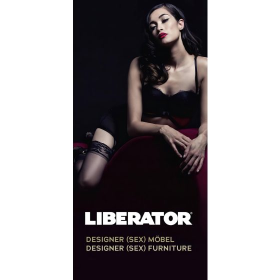 Liberator Flyer - Pack of 20