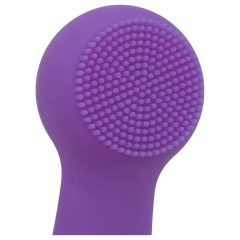   FaceClean - Rechargeable, Waterproof Facial Massager (Purple)