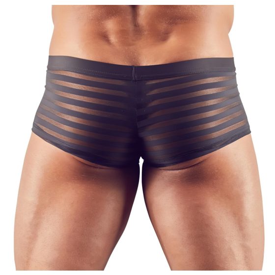 Transparent Striped Boxer Briefs (Black)