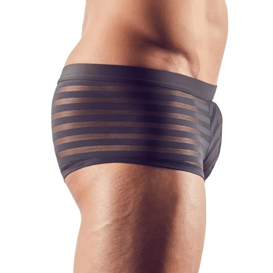 Transparent Striped Boxer Briefs (Black)