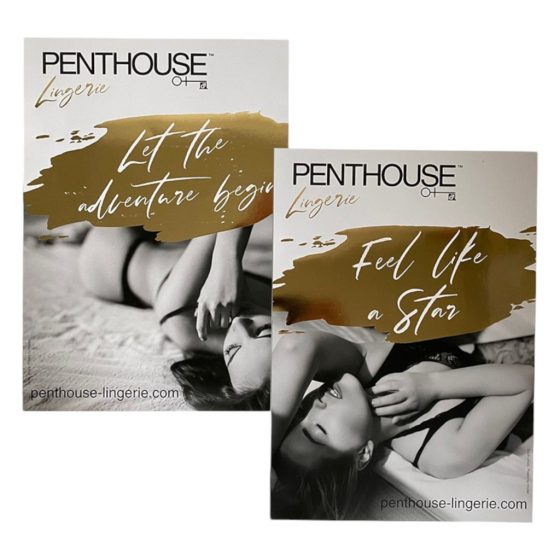 Penthouse - POS Kit