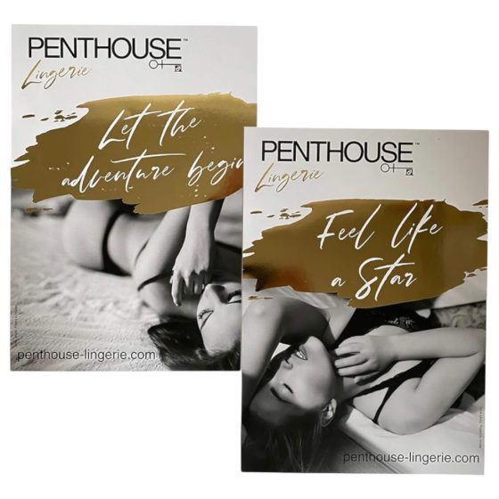 Penthouse - POS Kit