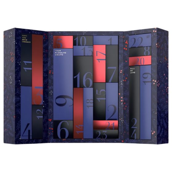 Satisfyer Advent Calendar Premium - Advent Calendar (24 pieces)