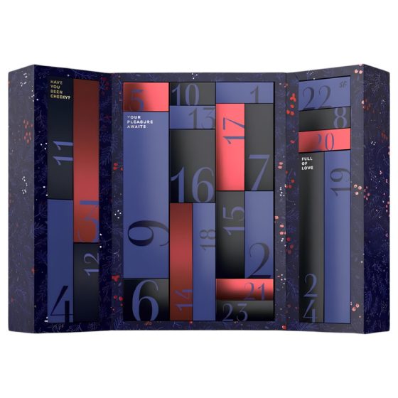 Satisfyer Advent Calendar Premium - Advent Calendar (24 pieces)