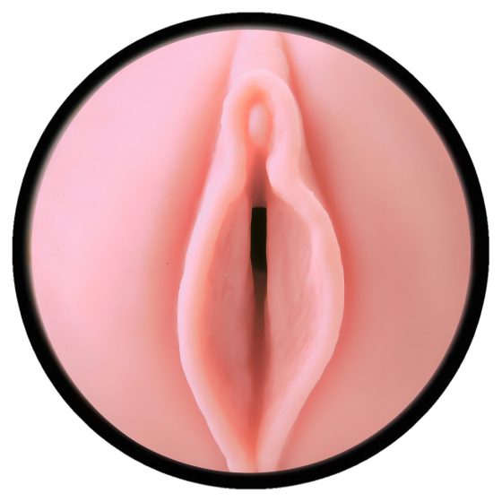 Fleshlight Pink Lady Destroyer - Realistic Vagina in a Case (Natural)