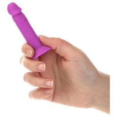 Silly Willy - Silicone Penises - 12pcs (colorful)