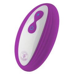   FemmeFunn Pirouette - Rechargeable, Wireless, Premium Vibrator (Purple)