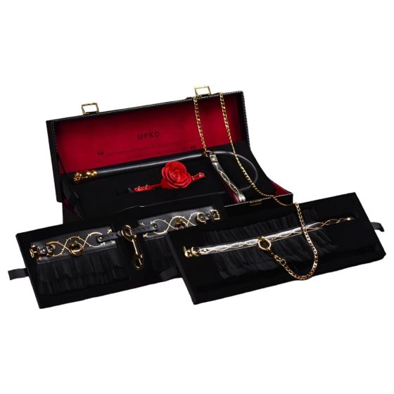 ZALO - Luxury Bondage Set in Storage Case (Black)