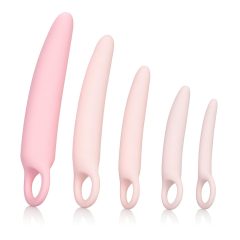   CalExotics Inspire - Medical-Grade Silicone Vaginal Dilator Set (Pink)