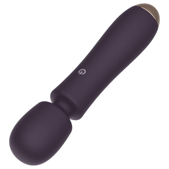 Raytech - Rechargeable, Waterproof Massage Vibrator (Purple)