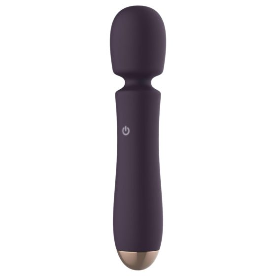 Raytech - Rechargeable, Waterproof Massage Vibrator (Purple)