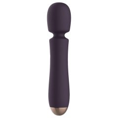 Raytech - Rechargeable, Waterproof Massage Vibrator (Purple)