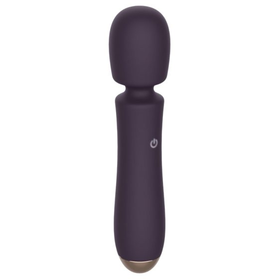 Raytech - Rechargeable, Waterproof Massage Vibrator (Purple)