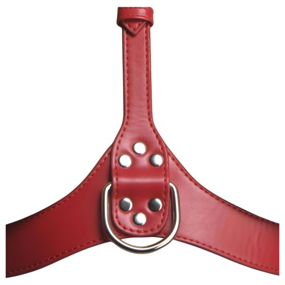 Strict - Neck Harness Body Harness (Red)