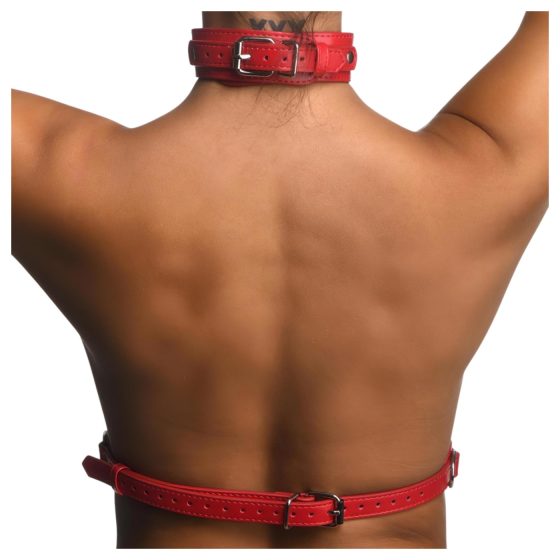 Strict - Neck Harness Body Harness (Red)