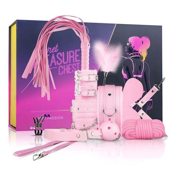 Advanced BDSM Kit - 14 Piece (Pink)