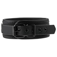 Blaze - Collar with Leash (Black)