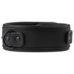 Blaze - Collar with Leash (Black)