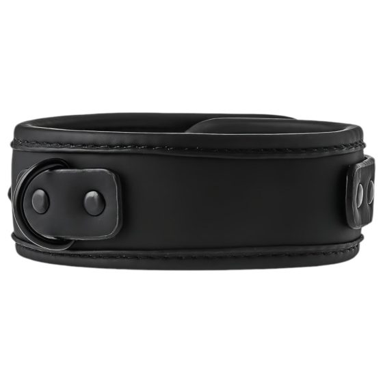 Blaze - Collar with Leash (Black)