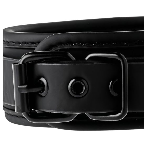 Blaze - Collar with Leash (Black)