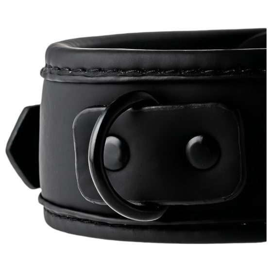 Blaze - Collar with Leash (Black)