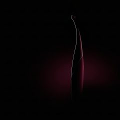   Senzi - Rechargeable, Waterproof Clitoral Vibrator (Burgundy)