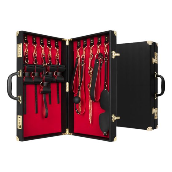 Bedroom Fantasies - 13-Piece BDSM Case (Black)