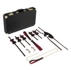 Bedroom Fantasies - 13-Piece BDSM Case (Black)